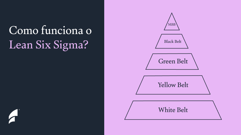 Como funciona o Lean Six Sigma?