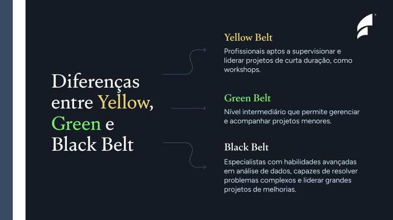diferencas entre yellow green e black belt diferencas entre yellow green e black belt