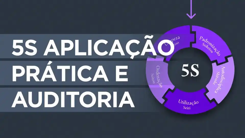 gráfico do 5s com o título '5s aplicação prática e auditoria'