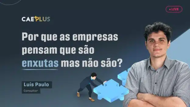 empresas enxutas